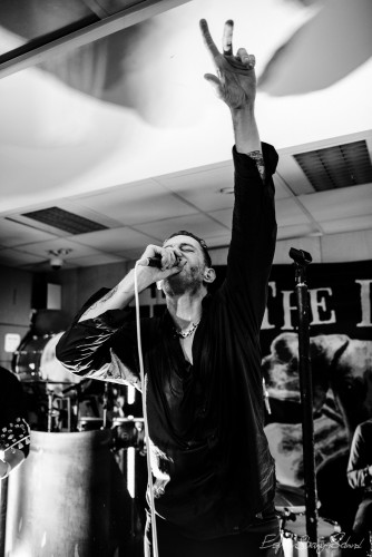 The Dogs, playing live recording concert at Big Dipper record store, Oslo, Norway 2016-03-05.