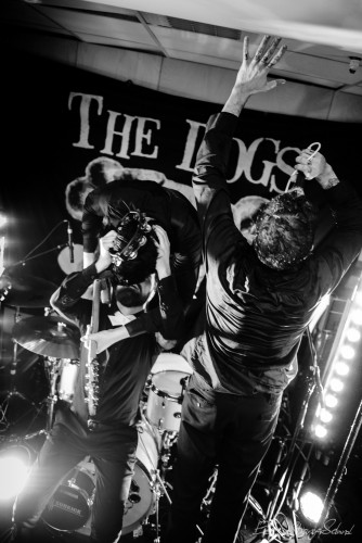 The Dogs, playing live recording concert at Big Dipper record store, Oslo, Norway 2016-03-05.