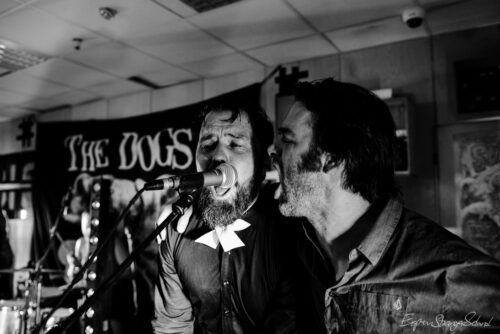 The Dogs, playing live recording concert at Big Dipper record store, Oslo, Norway 2016-03-05.